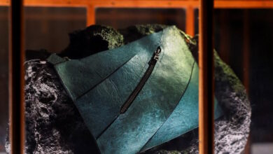 Σε-δημοπρασία-τσάντα-από-καλλιεργημένο-δέρμα-τυραννόσαυρου-ρεξ