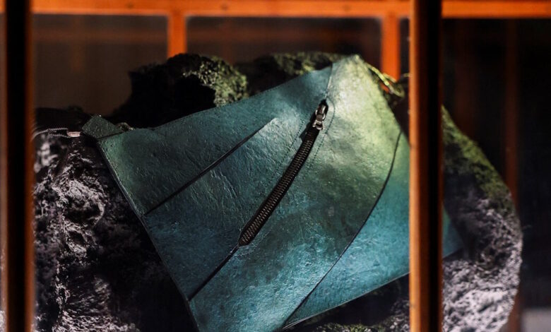 Σε-δημοπρασία-τσάντα-από-καλλιεργημένο-δέρμα-τυραννόσαυρου-ρεξ