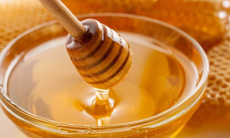 Θεσσαλικό-μέλι:-Χρυσός-στα-χέρια-μας-που-δεν-τον-βλέπουμε