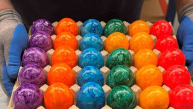 Γερμανία:-Κυνηγούσαν-πασχαλινά-αυγά-και-βρήκαν-ένα-μπουκαλάκι-με-το-θανατηφόρο-ραδιενεργό-«Πολώνιο-210»