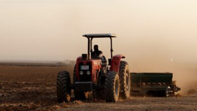 ΕΛΓΑ:-Καταβολή-αποζημιώσεων-ύψους-73-εκατ.-ευρώ-στους-ασφαλισμένους-παραγωγούς-για-ζημιές-του-2025
