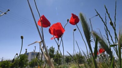Ξεπέρασε-τους-28°c-το-θερμόμετρο-στα-Τρίκαλα-–-Η-υψηλότερη-σε-όλη-τη-χώρα