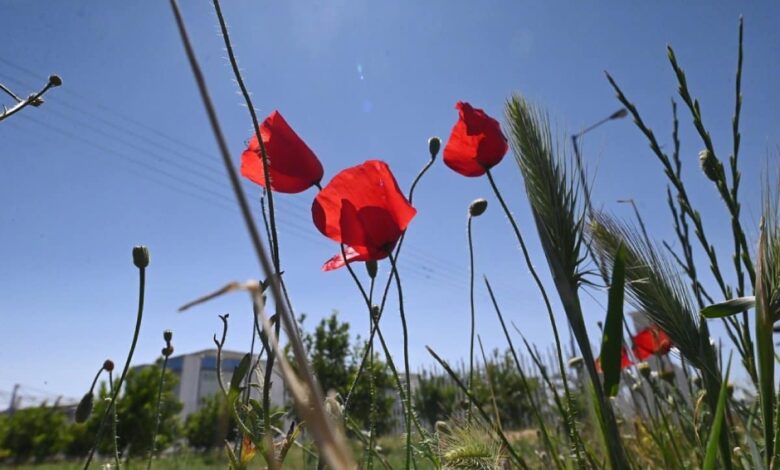 Ξεπέρασε-τους-28°c-το-θερμόμετρο-στα-Τρίκαλα-–-Η-υψηλότερη-σε-όλη-τη-χώρα