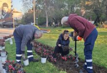 Ανοιξιάτικες-φυτεύσεις-ομορφαίνουν-την-Καρδίτσα