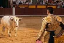 Ο-ταυρομάχος-Πινέδα-στο-Βαγέκας:-Φοβερό-βίντεο-της-ΑΕΚ-για-τη-μάχη-με-τη-Ράγιο-Βαγιεκάνο