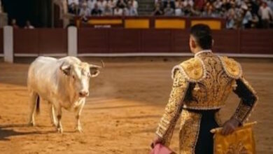 Ο-ταυρομάχος-Πινέδα-στο-Βαγέκας:-Φοβερό-βίντεο-της-ΑΕΚ-για-τη-μάχη-με-τη-Ράγιο-Βαγιεκάνο