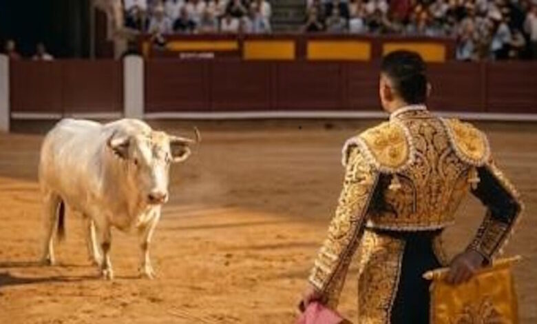 Ο-ταυρομάχος-Πινέδα-στο-Βαγέκας:-Φοβερό-βίντεο-της-ΑΕΚ-για-τη-μάχη-με-τη-Ράγιο-Βαγιεκάνο