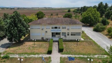 Τα-12.000-δείγματα-ημερησίως-έφτασε-το-Κτηνιατρικό-Εργαστήριο-Λάρισας-ενόψει-Πάσχα