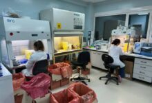 Έλεγχοι-για-αρνιά:-12.000-δείγματα/ημέρα