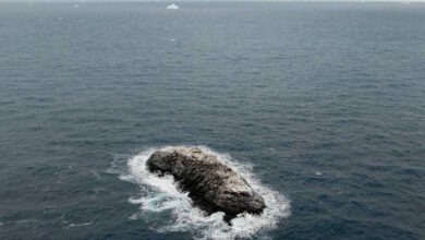 Ανταρκτική:-Ερευνητές-ανακάλυψαν-τυχαία-άγνωστο-νησί