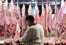 Πάσχα-2026:-«Χρηματιστήριο»-οι-τιμές-σε-αρνί-και-κατσίκι,-αυξάνονται-με-τη-ζήτηση-όσο-πλησιάζει-η-Ανάσταση