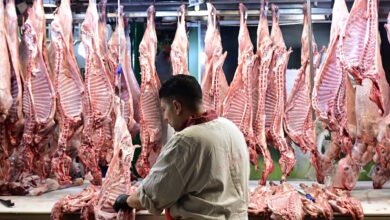 Πάσχα-2026:-«Χρηματιστήριο»-οι-τιμές-σε-αρνί-και-κατσίκι,-αυξάνονται-με-τη-ζήτηση-όσο-πλησιάζει-η-Ανάσταση