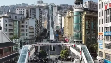 Κίνα:-Η-μεγαλύτερη-κυλιόμενη-σκάλα-στον-κόσμο-που-κόβει-την-ανάσα-–-Έχει-μήκος-905-μέτρα-και-χρειάζεσαι-20-λεπτά-για-να-την-ανέβεις