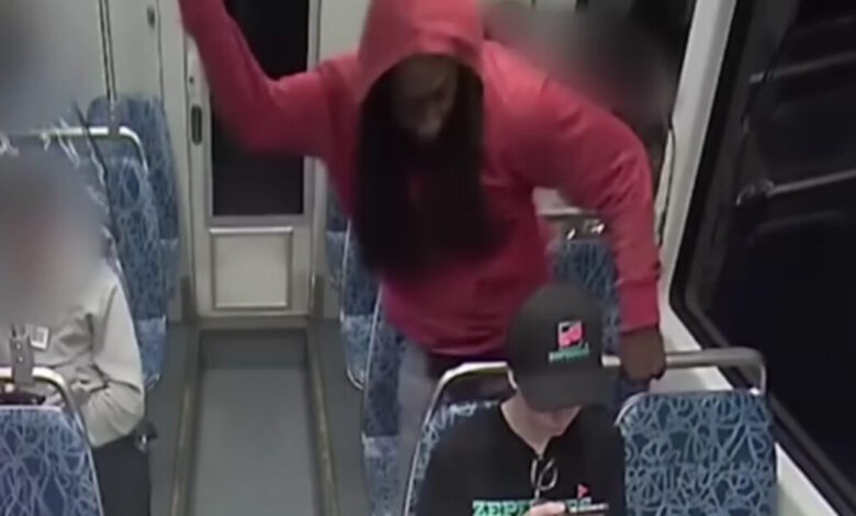 Βόρεια-Καρολίνα:-Δεν-θα-δικαστεί-ο-35χρονος-που-δολοφόνησε-την-23χρονη-Ουκρανή-μέσα-σε-τρένο-–-Κρίθηκε-ψυχικά-ανίκανος,-είχε-διαγνωστεί-με-σχιζοφρένεια