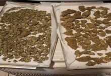 Στα-χέρια-της-ΕΛΑΣ.-22χρονος-με-πάνω-από-1,5-κιλό-κάνναβης-–-Έφοδος-στο-σπίτι-του-στη-Λάρισα