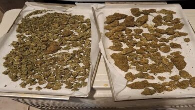 Στα-χέρια-της-ΕΛΑΣ.-22χρονος-με-πάνω-από-1,5-κιλό-κάνναβης-–-Έφοδος-στο-σπίτι-του-στη-Λάρισα