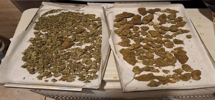 Στα-χέρια-της-ΕΛΑΣ.-22χρονος-με-πάνω-από-1,5-κιλό-κάνναβης-–-Έφοδος-στο-σπίτι-του-στη-Λάρισα