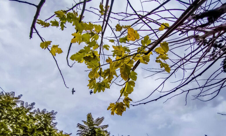 Καιρός-αύριο:-Κυριακή-του-Πάσχα-με-λίγη-συννεφιά-και-τοπικές-βροχές