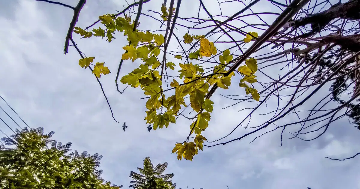 Καιρός-αύριο:-Κυριακή-του-Πάσχα-με-λίγη-συννεφιά-και-τοπικές-βροχές