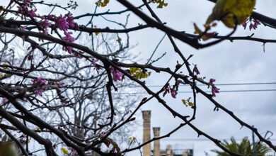 Καιρός-σήμερα:-Ανεβαίνει-η-θερμοκρασία-για-την-Κυριακή-του-Πάσχα-–-Συννεφιά-και-τοπικές-βροχές-σε-πολλές-περιοχές