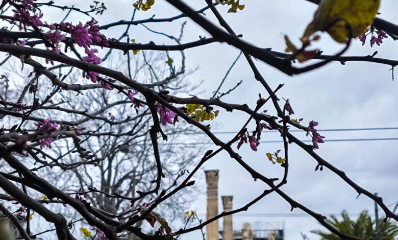 Καιρός-σήμερα:-Ανεβαίνει-η-θερμοκρασία-για-την-Κυριακή-του-Πάσχα-–-Συννεφιά-και-τοπικές-βροχές-σε-πολλές-περιοχές