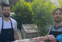 Άλεκ-Πίτερς-και-Τζορτζ-Πάπας-σούβλισαν-αρνί-για-το-Πάσχα