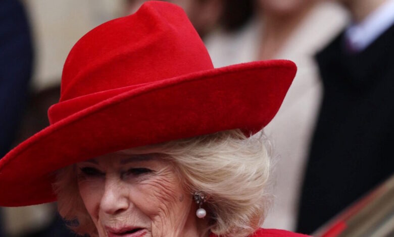 Η-βασίλισσα-Καμίλα-ανακήρυξε-την-Σελίνα-Μπράουν-«Εθνική-Ηρωίδα-Ανάγνωσης»-του-Ηνωμένου-Βασιλείου