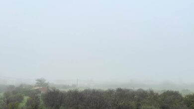 Εντυπωσιακό-φαινόμενο-στη-Σπάρτη:-Πυκνή-ομίχλη-«εξαφάνισε»-τον-Ταΰγετο