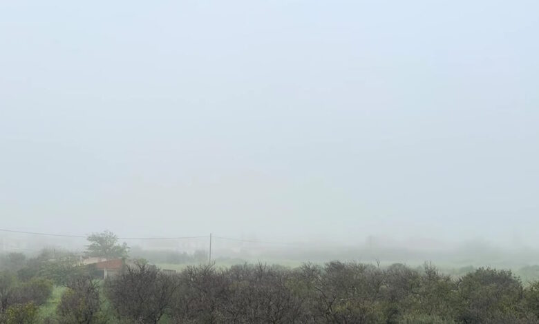 Εντυπωσιακό-φαινόμενο-στη-Σπάρτη:-Πυκνή-ομίχλη-«εξαφάνισε»-τον-Ταΰγετο