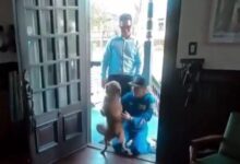 Η-συγκινητική-επανένωση-της-αστροναύτη-του-artemis-ii-με-το-σκυλάκι-της-–-Το-βίντεο-που-έγινε-viral