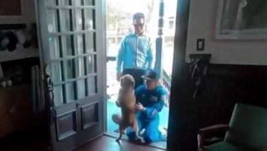 Η-συγκινητική-επανένωση-της-αστροναύτη-του-artemis-ii-με-το-σκυλάκι-της-–-Το-βίντεο-που-έγινε-viral