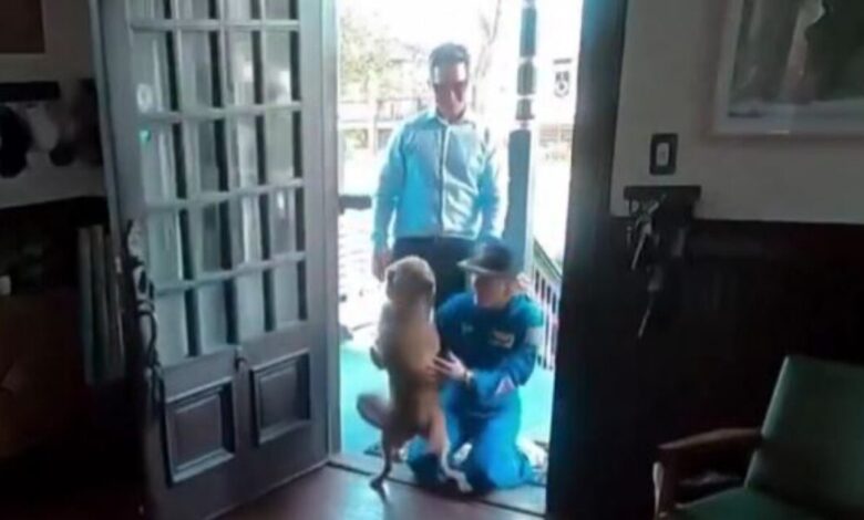 Η-συγκινητική-επανένωση-της-αστροναύτη-του-artemis-ii-με-το-σκυλάκι-της-–-Το-βίντεο-που-έγινε-viral