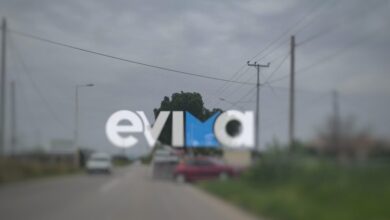 Τροχαίο-στην-Εύβοια:-Αυτοκίνητο-έπεσε-πάνω-σε-μάντρα-και-σε-δέντρο