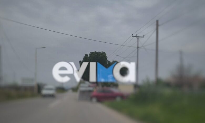 Τροχαίο-στην-Εύβοια:-Αυτοκίνητο-έπεσε-πάνω-σε-μάντρα-και-σε-δέντρο