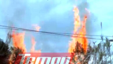 Πάτρα:-Κινδύνεψαν-σπίτια-από-φωτιά-στο-Μπεγουλάκι,-καταγγελίες-για-ακαθάριστα-οικόπεδα