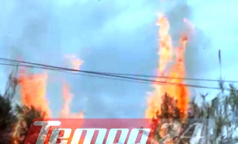 Πάτρα:-Κινδύνεψαν-σπίτια-από-φωτιά-στο-Μπεγουλάκι,-καταγγελίες-για-ακαθάριστα-οικόπεδα