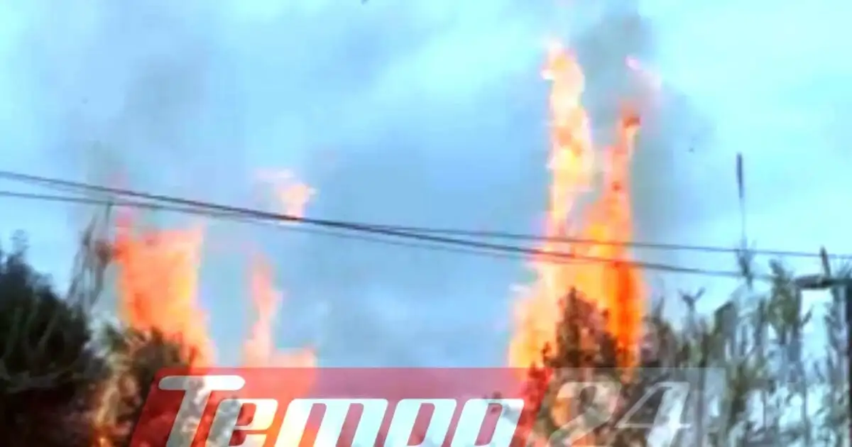 Πάτρα:-Κινδύνεψαν-σπίτια-από-φωτιά-στο-Μπεγουλάκι,-καταγγελίες-για-ακαθάριστα-οικόπεδα