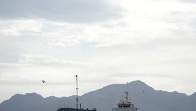 wsj:-Η-Ευρώπη-στήνει-σχέδιο-για-τo-άνοιγμα-των-Στενών-του-Ορμούζ-χωρίς-τις-ΗΠΑ