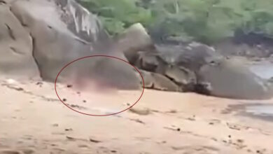 Ταϊλάνδη:-Οργή-για-ζευγάρι-Γάλλων-τουριστών-που-έκανε-σεξ-σε-παραλία-–-«Ήταν-σαν-ζώα»