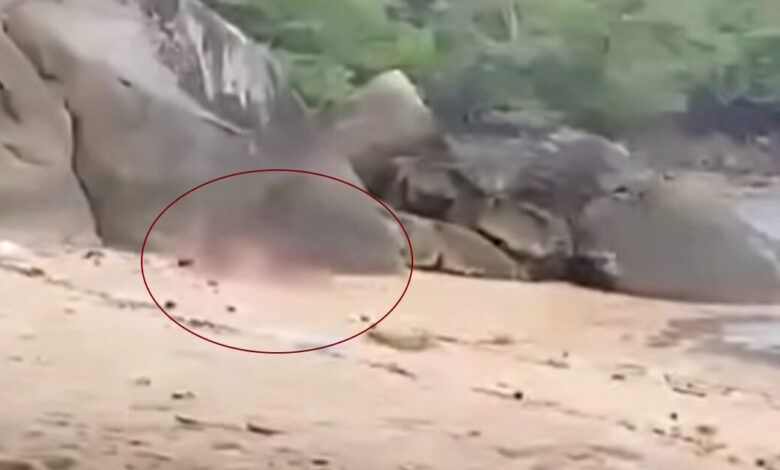 Ταϊλάνδη:-Οργή-για-ζευγάρι-Γάλλων-τουριστών-που-έκανε-σεξ-σε-παραλία-–-«Ήταν-σαν-ζώα»