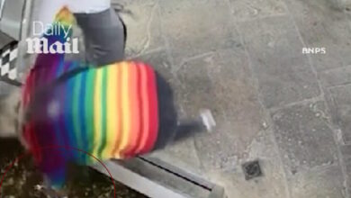 Βρετανία:-Ακτιβίστρια-έκλεψε-αστακό-από-εστιατόριο-και-τον-απελευθέρωσε-στη-θάλασσα-–-Αποδείχτηκε-ότι-ήταν-κατοικίδιο-του-ιδιοκτήτη