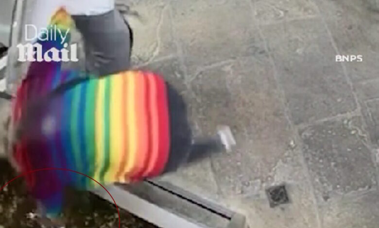 Βρετανία:-Ακτιβίστρια-έκλεψε-αστακό-από-εστιατόριο-και-τον-απελευθέρωσε-στη-θάλασσα-–-Αποδείχτηκε-ότι-ήταν-κατοικίδιο-του-ιδιοκτήτη