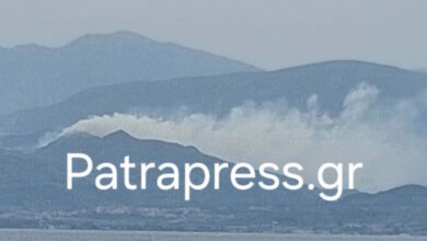 Αχαΐα:-Σύλληψη-ενός-άνδρα-για-τη-φωτιά-στα-Σελινιάτικα