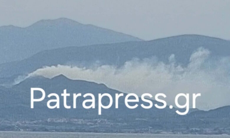 Αχαΐα:-Σύλληψη-ενός-άνδρα-για-τη-φωτιά-στα-Σελινιάτικα