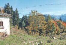 Πρόγνωση-πλημμυρών-με-Τεχνητή-Νοημοσύνη-–-eγκατάσταση-καινοτόμου-συστήματος-στη-Θεσσαλία