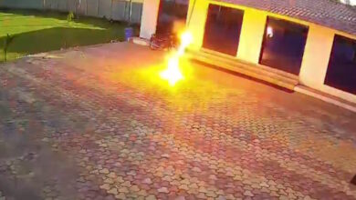 Ινδία:-Η-στιγμή-που-άνδρας-παθαίνει-ηλεκτροπληξία-και-σκοτώνεται-κυνηγώντας-μία-μαϊμού-με-σιδερένια-βέργα