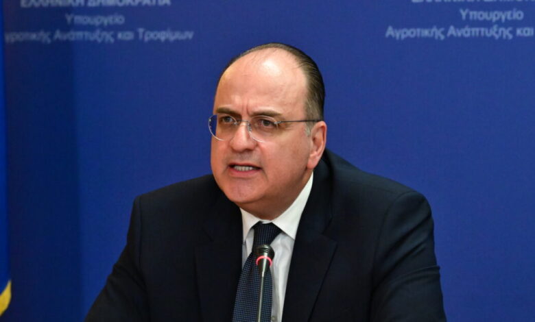 Το-παρασκήνιο-της-παραίτησης-του-Μακάριου-Λαζαρίδη: Ο-εκνευρισμός-του-Κυριάκου-Μητσοτάκη-και-ο-ρόλος-της-Ντόρας-Μπακογιάννη