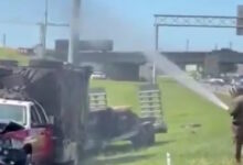 Τενεσί:-Ανατράπηκε-φορτηγό-και-«δραπέτευσαν»-1-εκατομμύριο-μέλισσες-που-μετέφερε