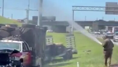 Τενεσί:-Ανατράπηκε-φορτηγό-και-«δραπέτευσαν»-1-εκατομμύριο-μέλισσες-που-μετέφερε