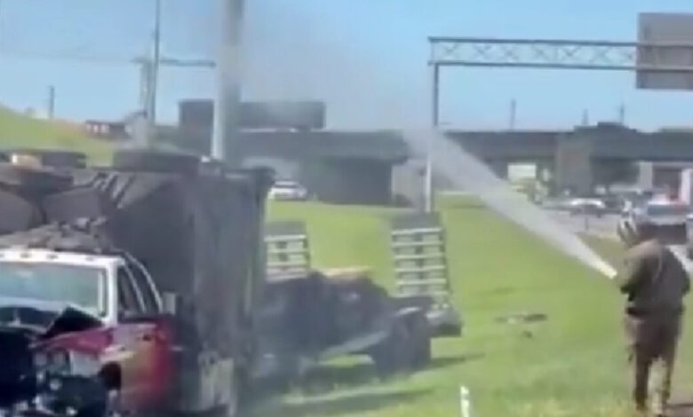 Τενεσί:-Ανατράπηκε-φορτηγό-και-«δραπέτευσαν»-1-εκατομμύριο-μέλισσες-που-μετέφερε